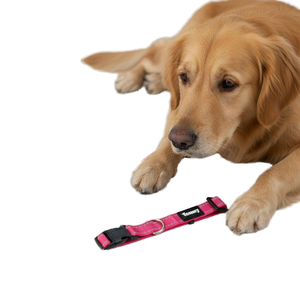 High Quality Modern Luxury Adjustable Metal Heavy Duty Buckle Nylon Pet <b>Dog</b> <b>Collar</b> Tactical <b>Training</b> Durable Lead Leash - Product Image 1