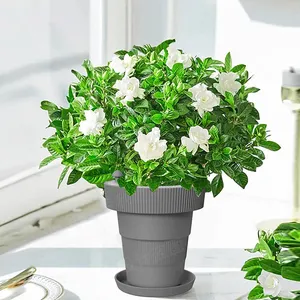 Pot d'affichage pliable Pot de fleurs en Silicone jardinière de fleurs en Silicone