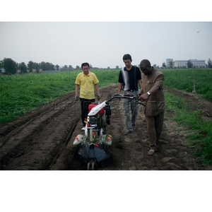 Cultivador de cebolla Máquina plantadora de cebolla Máquina de Surco y cultivo multifuncional - Product Image 6