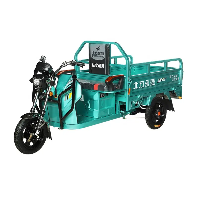 2020 Cheaper Strong power 60V 1000W electric tricycle cargo