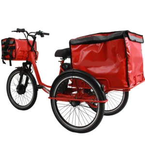 2022 새로운 모델 전기 Trike 세 바퀴 전기 자전거 전기 세발 자전거 지방 타이어 화물 자전거