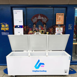 Congélateur coffre à grande capacité, haute qualité, à température unique, ouverture par le haut, congélateur profond, réfrigérateur - Product Image 2