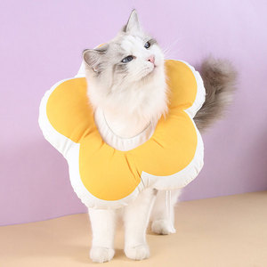 <span class=keywords><strong>Collar</strong></span> isabelino de flor morada ajustable para gatos y perros pequeños <span class=keywords><strong>Collar</strong></span> electrónico de gato suave de lujo Cono impermeable para gatitos y cachorros - Product Image 6