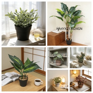 Planta Artificial <span class=keywords><strong>Echeveria</strong></span> Alta y Duradera, Ecológica, en Maceta de Cerámica con Tierra Sintética para Decoración del Hogar u Oficina - Product Image 6