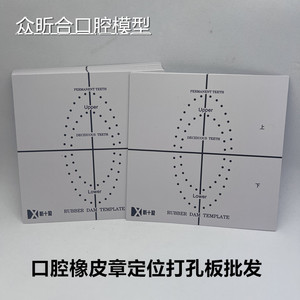 Gabarit de plaque perforée en caoutchouc pour guide de positionnement des dents de lait permanentes supérieures et inférieures, pour l'enseignement dentaire - Product Image 5