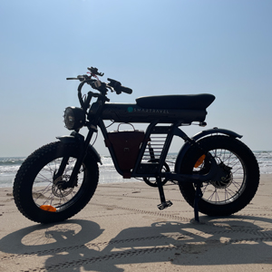 Bicicleta Eléctrica Todoterreno de Alta Resistencia con Llantas Gruesas, Motor de 6 Velocidades en el Buje Trasero, Amortiguador, 1200W, Sin Escobillas, JYOP-ZM21, Aluminio - Product Image 3