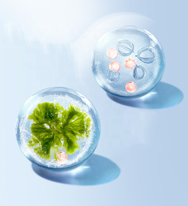 Маска из органической гиалуроновой кислоты, оптовая продажа, натуральные осветляющие очищающие листы, основные ингредиенты, Ганодерма и арбутин - Product Image 4