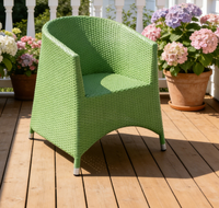 Fauteuil de patio en rotin vert résistant aux intempéries Yoshen, léger et durable, pour l'extérieur