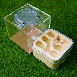 Ant House Nest Insect Pet Ant Cage Farm With Feeding Hamper Plastic Acrylic Display Ant Workshop Kids Biological Observation Toy