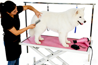 Table de toilettage pour animaux de compagnie carrée électrique, hauteur réglable de 650 à 900 mm, plateau antidérapant de grande taille pour salon professionnel, clinique, maison