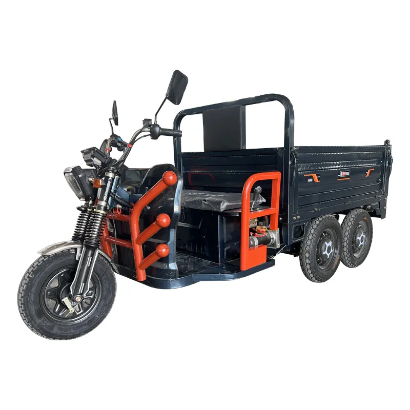 Beliebtes Großhandel haltbares Stahldraht-Reifen 1000 W fünf Räder elektrisches Dreirad langes Motorrad für Reistransport