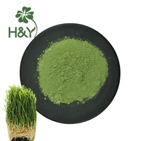 Poudre de jus d'herbe de blé lyophilisée en gros à vendre