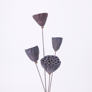 Échantillons gratuits <span class=keywords><strong>d</strong></span>écoration de mariage fleur de fée créative fleur séchée Nelumbo nucifera <span class=keywords><strong>d</strong></span>écoration de mariage fleurs - Product Image 2