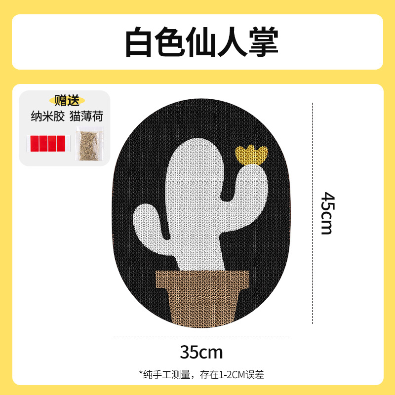 Cactus blanc