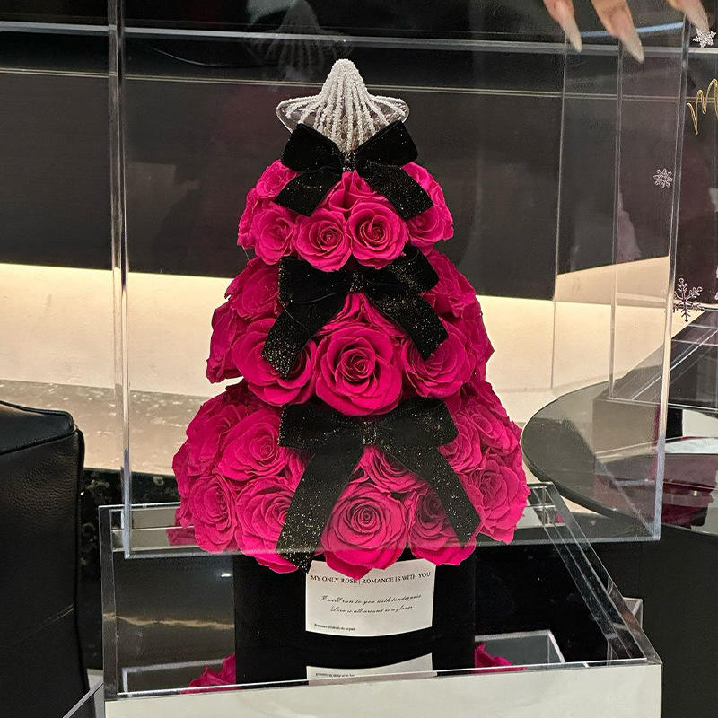 กุหลาบแดง