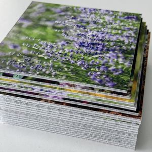 Chaîne d'approvisionnement mondiale, <span class=keywords><strong>plaque</strong></span> de feuille de <span class=keywords><strong>polypropylène</strong></span> ondulée en nid d'abeille, <span class=keywords><strong>plaque</strong></span> de feuille de <span class=keywords><strong>polypropylène</strong></span> avec service de découpe, écologique, imperméable - Product Image 5