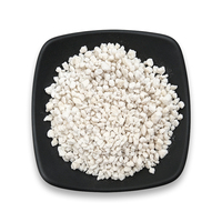 Perlite d'horticulture 2-4 mm, substrat respirant améliorant la drainage pour orchidées, plantes en pot et culture en serre