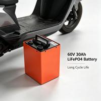 Batterie LiFePO4 60V 30Ah/60Ah au phosphate de fer et de lithium avec BMS intelligent intégré, charge rapide, haute efficacité, prête à l'emploi pour vélo électrique