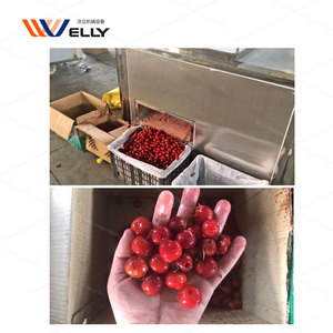 Chất lượng tốt thương mại Mini <span class=keywords><strong>Cherry</strong></span> angiomas Pit Loại bỏ máy để bán <span class=keywords><strong>Cherry</strong></span> rỗ máy công nghiệp - Product Image 6