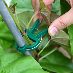 Supports de plantes de jardin réutilisables-Clips grimpants réglables pour vignes et légumes 2 tailles pour un soin pratique des plantes - Product Image 5