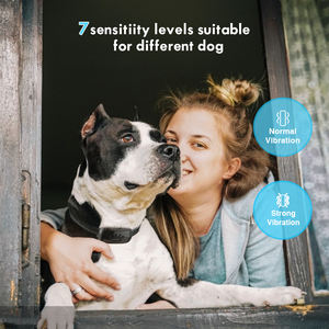 Collar antiladridos activado por voz recargable más nuevo, descarga eléctrica y control de ladridos por vibración para perros - Product Image 3