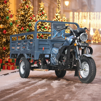 Tricycle motorisé cargo 201-250cc, moto à trois roues ouverte, 36V 801-1000W, charge utile 400kg, caisse de chargement 1.6x1.1m