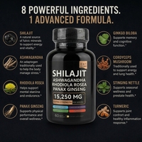 Offre Spéciale : Capsules Végétales 8-en-1 de Shilajit aux Herbes avec Ginseng Panax et Rhodiola pour l'Énergie Quotidienne des Hommes – Complément Alimentaire OEM & ODM
