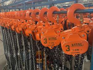 Harga pabrik 2T 3m rantai Manual blok <span class=keywords><strong>Hoist</strong></span> penting rantai Manual blok kerekan konstruksi mengangkat kerekan - Product Image 5