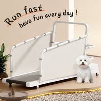 Tapis roulant électrique pour animaux de compagnie, entraînement en intérieur, appareil de patinage pour animaux de compagnie adapté aux animaux de petite et moyenne taille