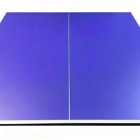 Table de tennis de table moderne et écologique à rebond fluide et équilibré, idéale pour les écoles, les installations sportives, les chambres et les cuisines – Vente directe usine