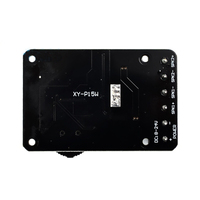 XY-P15W 10W 15W 20W Stéréo 5.0 Carte Amplificateur De Puissance 12V/24V Haute Puissance Module Amplificateur Numérique