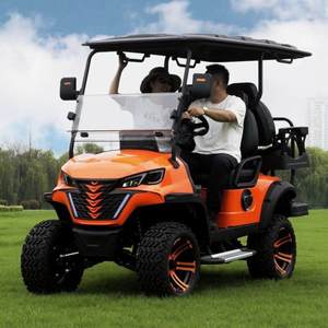 Voiturette de golf électrique intelligente BETETEK 2 places avec commande complète, idéale pour villas, complexes hôteliers et terrains de golf hors route public - Product Image 1