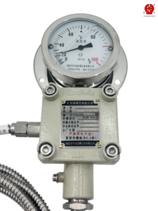 เครื่องวัดอุณหภูมิแบบสองเอาต์พุตสำหรับงานเหมือง YBT100 แบบหน้าปัดแสดงผลท้องถิ่นพร้อมสัญญาณ Pt100 แบบรีโมตไปยัง PLC DCS - Product Image 3