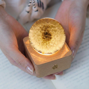 Lampe en résine <span class=keywords><strong>de</strong></span> tournesol véritable, boule <span class=keywords><strong>de</strong></span> fleurs préservées, veilleuse, décoration botanique bénie par le soleil, pour la remise des diplômes, félicitations, nouveau cadeau - Product Image 5