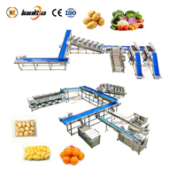 Aardappelwasmachines 500KG/H, bietenpelschilmachine, gemberpelschilmachine, wortelschilmachine, wortelverwerkingslijn