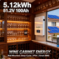 Baterai LiFePO4 48V 5kWh 51.2V 100Ah untuk Sistem Surya Hibrida yang Dipasang di Dinding