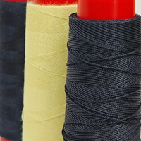 Cordon de lacet en Kevlar Aramide, corde de liaison Nomex, ignifuge classe H 220C pour bobinage de transformateurs de moteurs