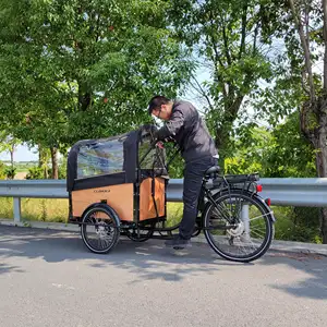 Hollandalı kargo bisiklet avrupa depo 3 tekerlekli elektrikli aile kargo bisiklet