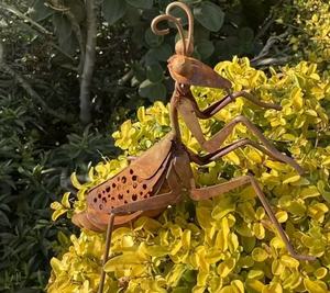 Ornement de <span class=keywords><strong>jardin</strong></span> en métal rouillé vintage en forme de <span class=keywords><strong>Mantis</strong></span> religieuse, sculpture d'insecte en fer résistante aux intempéries pour la décoration artistique extérieure de <span class=keywords><strong>jardin</strong></span> - Product Image 4