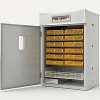Incubateur automatique Agricon pour poulets, canards et autruches, taux d'éclosion de 98 %, retournement des œufs multifonctionnel, acier inoxydable, plastique, neuf