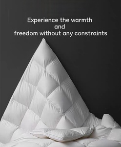 Couette matelassée en duvet d'oie 95% coton jacquard, 140 fils, douce, respirante, toutes saisons, très vendue - Product Image 5