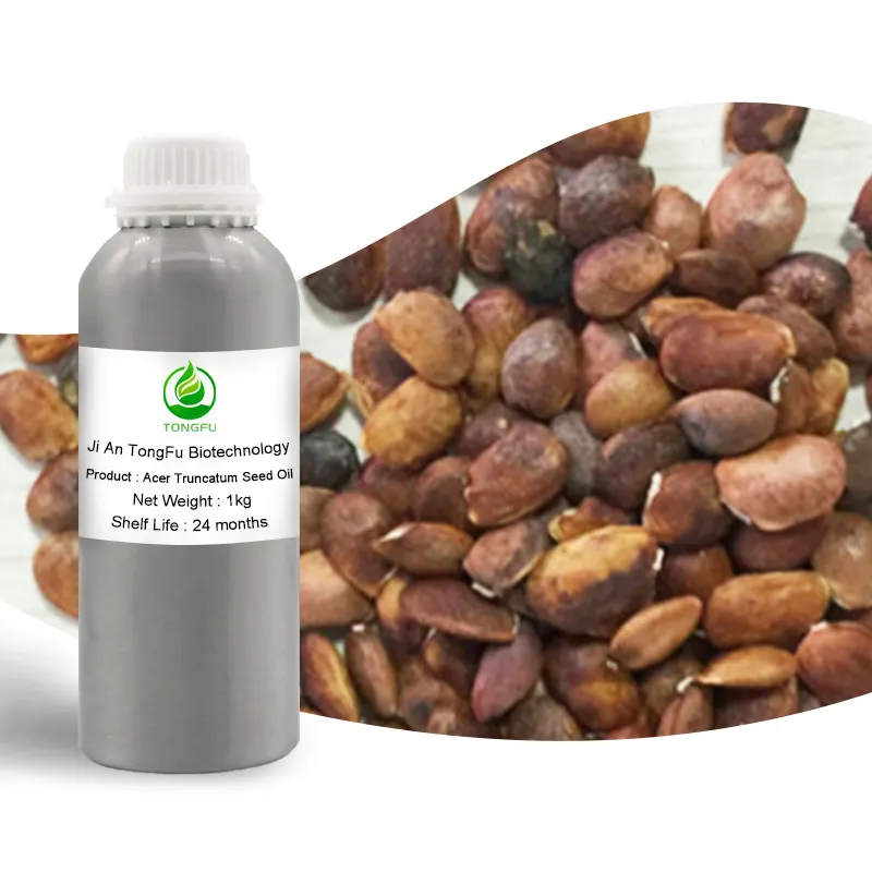 100% biologico naturale di grado cosmetico olio di semi d'acero/Acer Truncatum Healthife estratto di acido nervino Acer Truncatum olio di semi