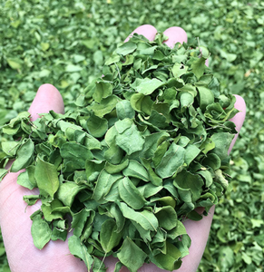 Premium kalite notu doğal <span class=keywords><strong>Moringa</strong></span> <span class=keywords><strong>Oleifera</strong></span> çay için <span class=keywords><strong>Moringa</strong></span> kurutulmuş yaprak bırakır - Product Image 3