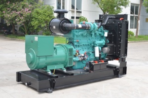 Générateur électrique alimenté par un moteur Cummins NTA855-G1, <span class=keywords><strong>radiateur</strong></span> 300 kVA/312 kVA, prix du générateur électrique 250 kW, générateur diesel - Product Image 5