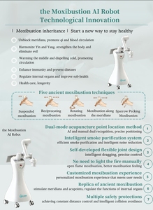 Máquina de Fisioterapia y Moxibustión de Última Generación con Robot de Tecnología Avanzada para Relajación Corporal y Tratamiento Físico - Product Image 5