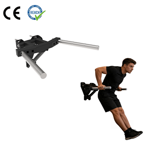 VIGFIT Agarraderas Reforzadas de Alta Resistencia para Montaje <span class=keywords><strong>en</strong></span> Pared, Equipo de Entrenamiento con Peso Corporal, Máquina de Fuerza para Entrenamiento <span class=keywords><strong>en</strong></span> Gimnasio <span class=keywords><strong>en</strong></span> Casa - Product Image 1