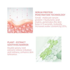 Coffret de Soins Visage Protéinés à Marque Blanche – 18 Extraits Végétaux Antioxydants, Éclaircissants, Hydratants et Anti-Âge - Product Image 5