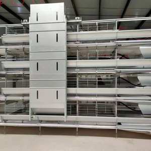 Cages à poulets efficaces pour élevage avicole et cages à poulets pour poulets de chair pour la production de viande. - Product Image 2