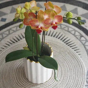 Современный керамический цветочный горшок, Садовые принадлежности, декоративный нордический глазурованный комнатный растительный горшок для суккулентов