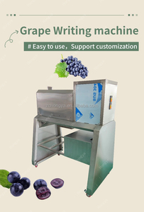 Machine à décortiquer les raisins Hongya en acier inoxydable 304, 380V 1500W, hautement efficace pour les grosses grappes <span class=keywords><strong>de</strong></span> raisins - Product Image 2